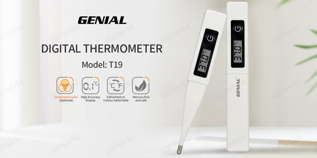 T19海报横版_副本 T19海报横版_副本